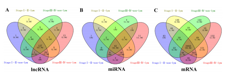 fD(Venn diagram)