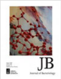 JOURNAL OF BACTERIOLOGY