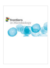 Frontiers In Microbiologyڿ