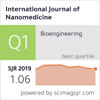 International Journal Of Nanomedicine封面