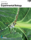 Journal Of Experimental Biology封面