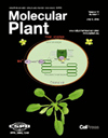 Molecular Plant封面