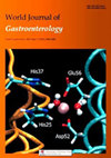 World Journal Of Gastroenterology封面