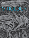 Virology封面