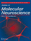 Journal Of Molecular Neuroscience封面