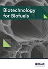 Biotechnology For Biofuels封面