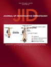 Journal Of Investigative Dermatology封面