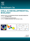 Seminars In Cell & Developmental Biology封面