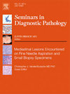 Seminars In Diagnostic Pathology封面