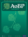 Aob Plants封面