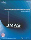 Journal Of Minimal Access Surgery封面