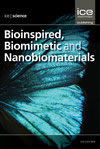 Bioinspired Biomimetic And Nanobiomaterials封面