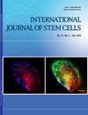 International Journal Of Stem Cells封面