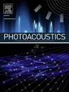 Photoacoustics封面