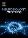 Neurobiology Of Stress封面