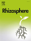 Rhizosphere封面